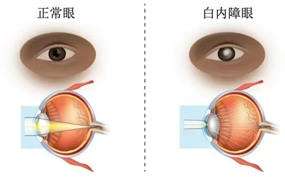 圖片3.png