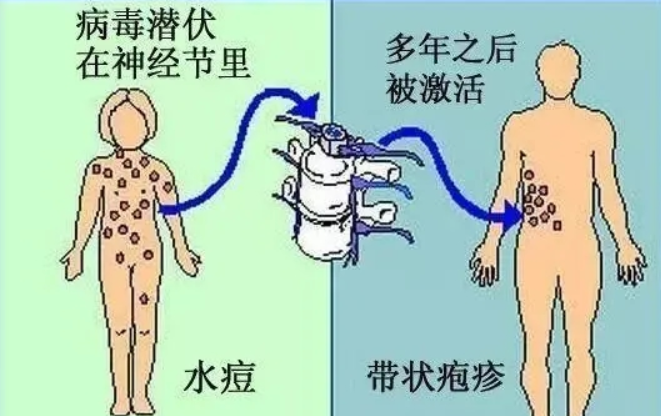 微信圖片_20230209102813.png